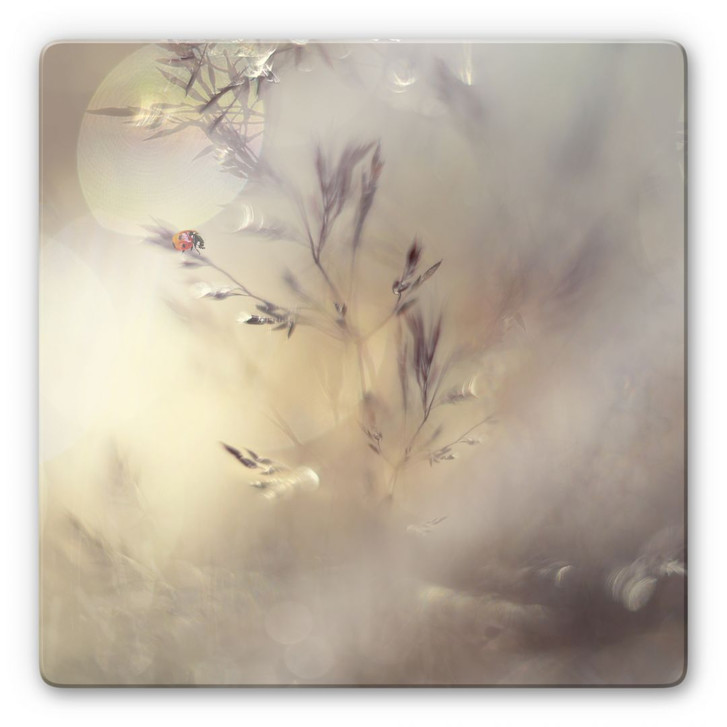 Glasbild Westum - Little Lady - WA129084