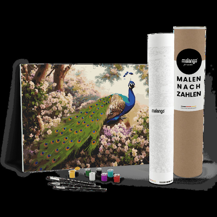 Malen nach Zahlen Leinwandbild - Pfau Patrice - WA447484