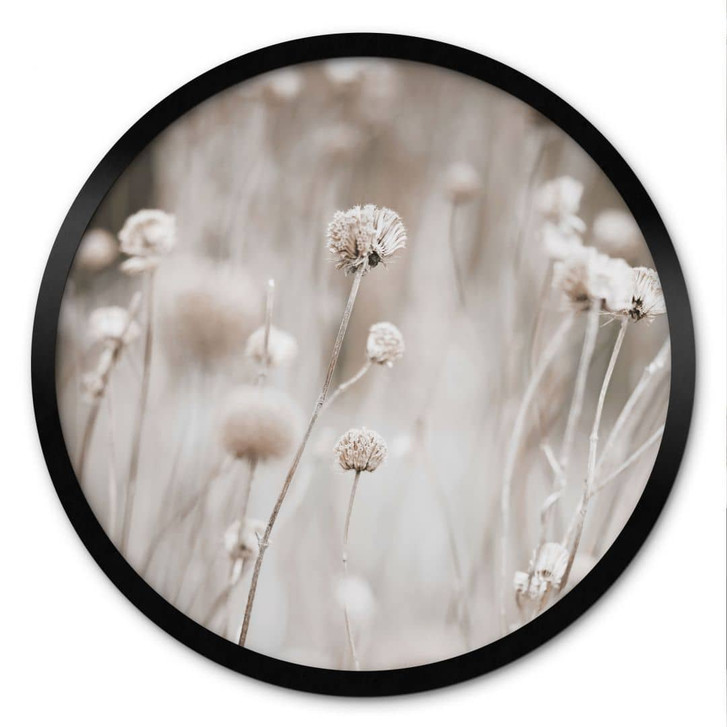 Poster Getrocknete Blüten in sanften Tönen - Annie - Rund - WA473511