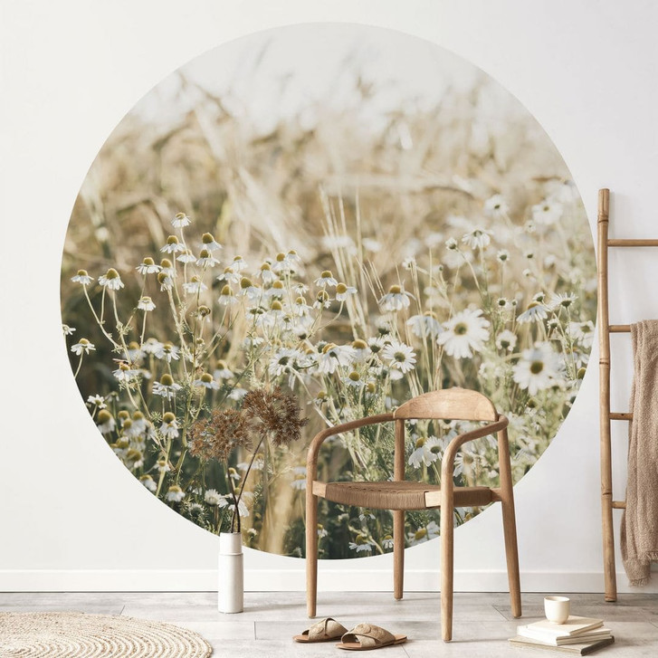 Blumen Fototapete Sommerwiese mit Kamille - Annie - Rund - Selbstklebend/Vlies - WA471241