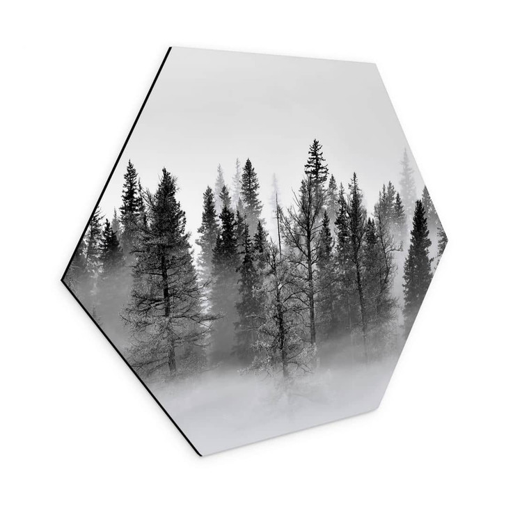 Hexagon Wandbild Nebelwald in Schwarz-Weiss - Alu-Dibond - Xu - WA394335