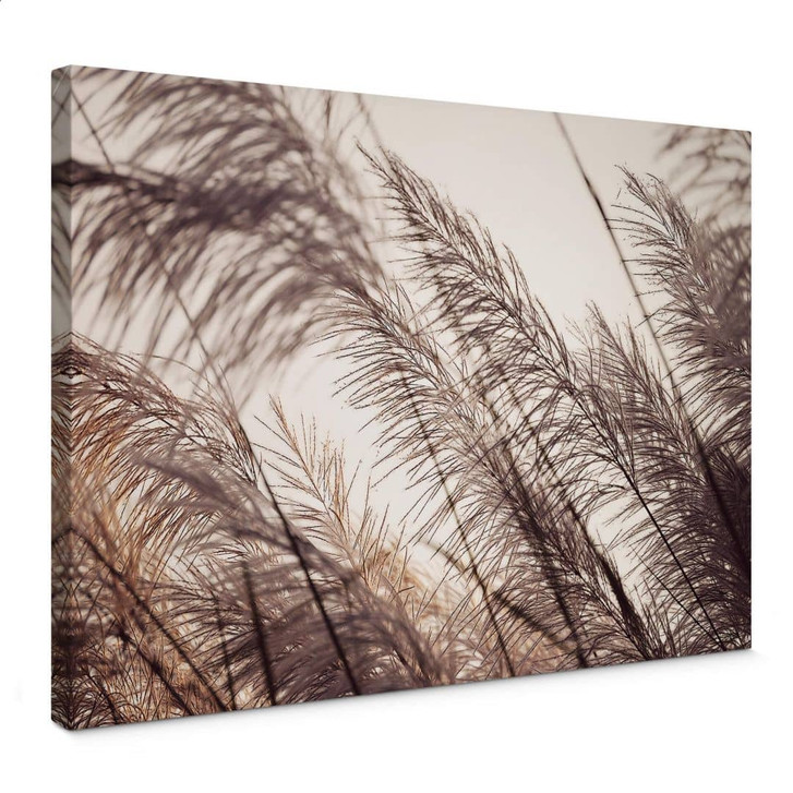 Leinwandbild Gräser in Pastell - WA327293