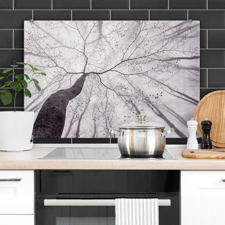 Spritzschutz Pavlasek - Ein Blick in die Baumkronen - WA350458