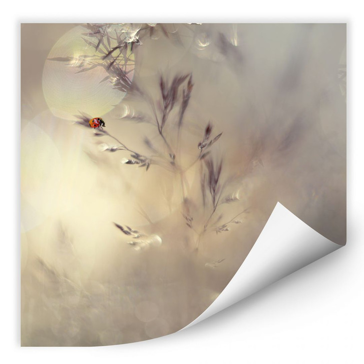 Wallprint Westum - Little Lady - WA190554