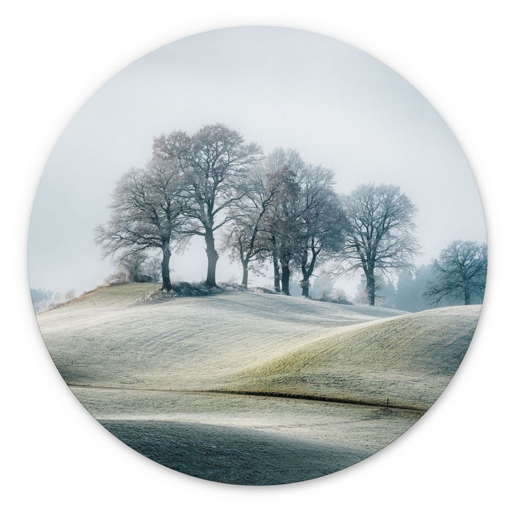 Wandbild Frostige Hügellandschaft - Eisenmann - Alu-Dibond Rund - WA434089