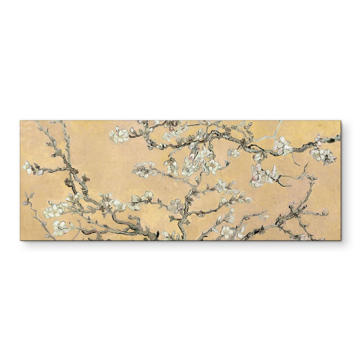 Wandbild van Gogh - Mandelblüte - creme - Panorama - Alu-Dibond - WA421667