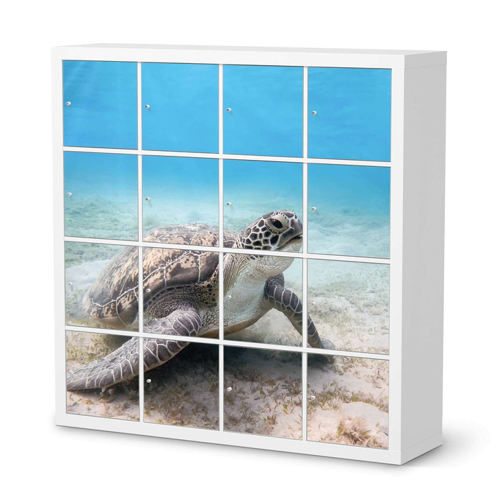 Möbelfolie IKEA Kallax Regal 16 Türen - Green Sea Turtle - CR115217