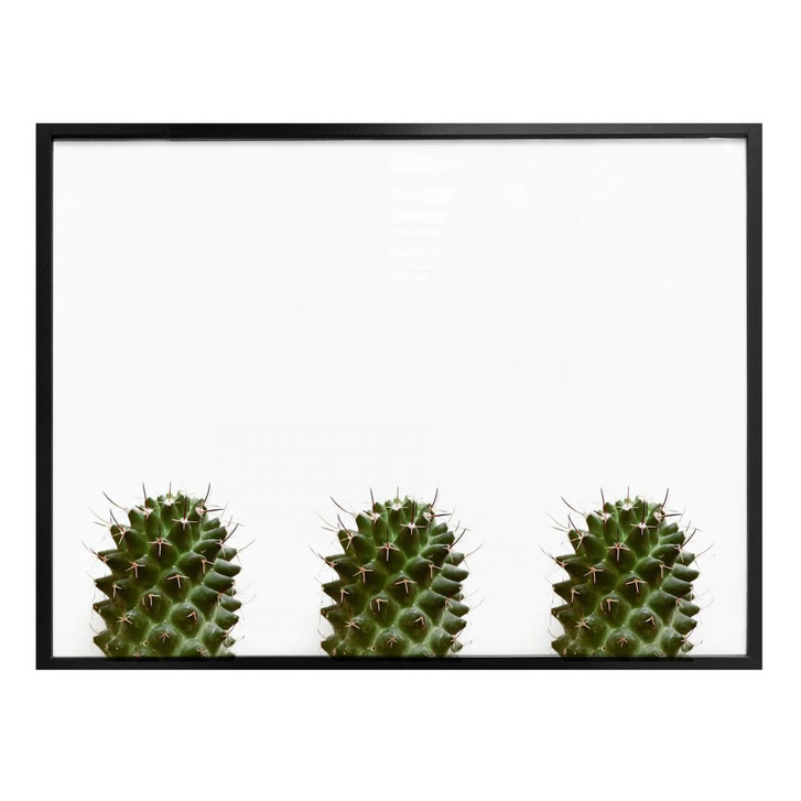 Poster Mein kleiner Kaktus - Trio - WA258641