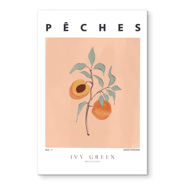 Acrylglasbild Saftige Pfirsiche - Ivy Green Illustration - WA478993