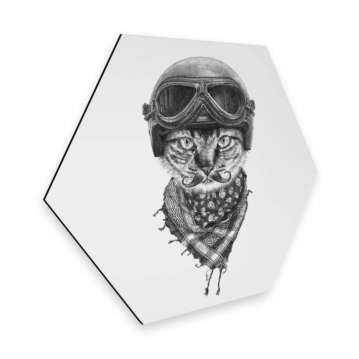 Hexagon - Alu-Dibond Kools - Biker Cat - WA273070