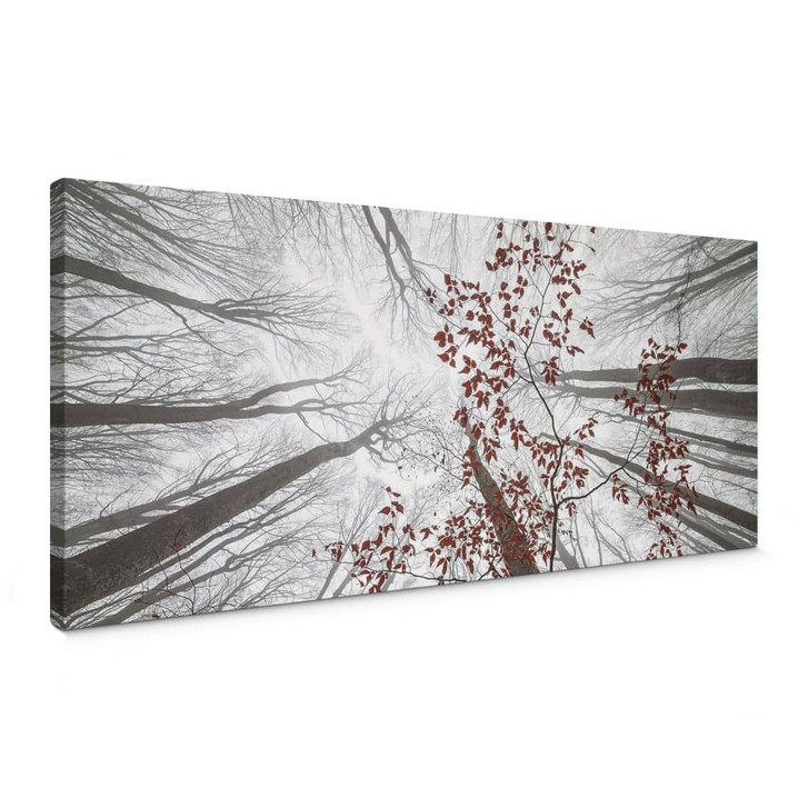 Leinwandbild Bäume - Baumkronen mit roten Blättern - Panorama - Coman - WA403122