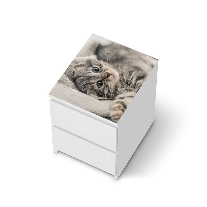Möbelfolie IKEA Malm Kommode 2 Schubladen oben - Kitty the Cat - CR116313