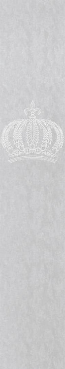 Vliestapete Krone, Betonoptik Metalloptik Modern glänzend in Silber - WA473121