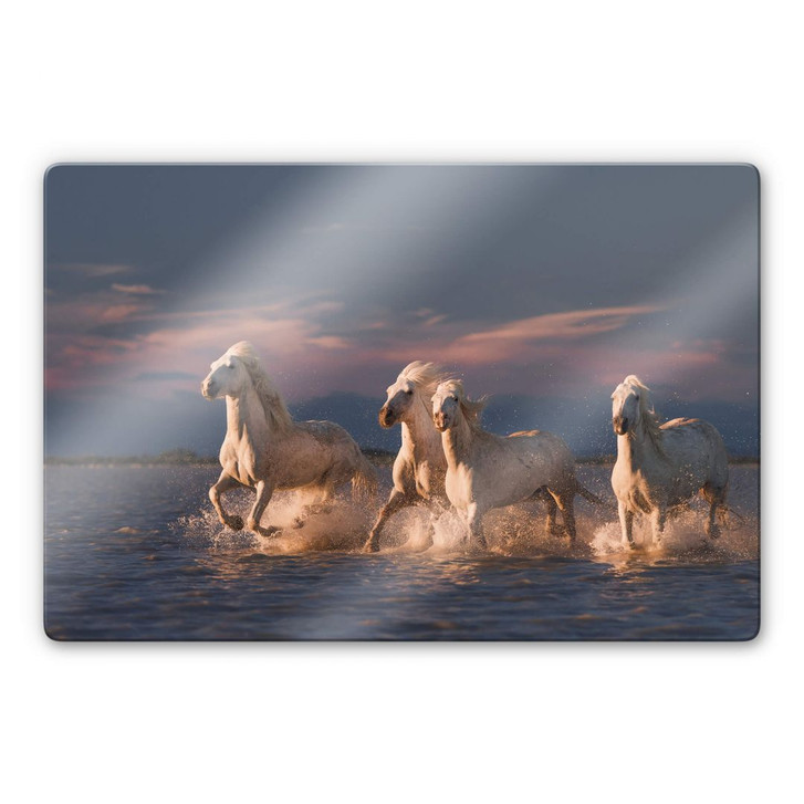Glasbild Rostovskiy - Angels of Camargue - WA232398