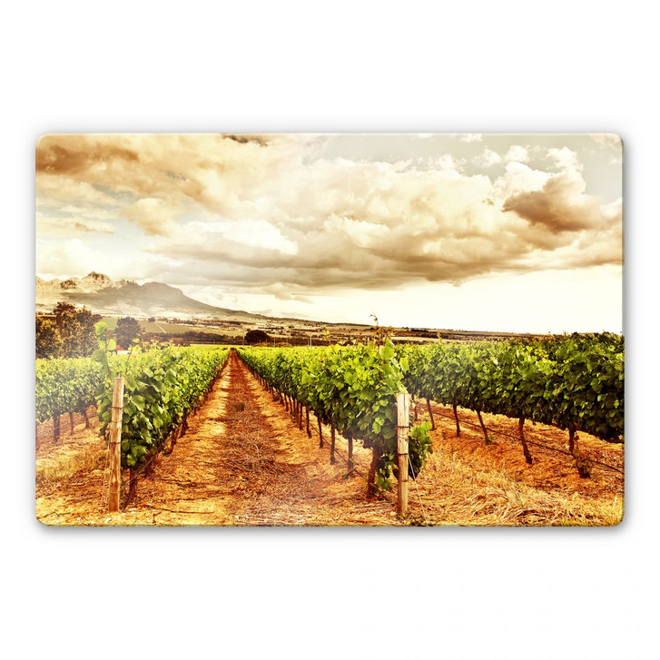 Glasbild Weinreben in den Bergen - WA128976