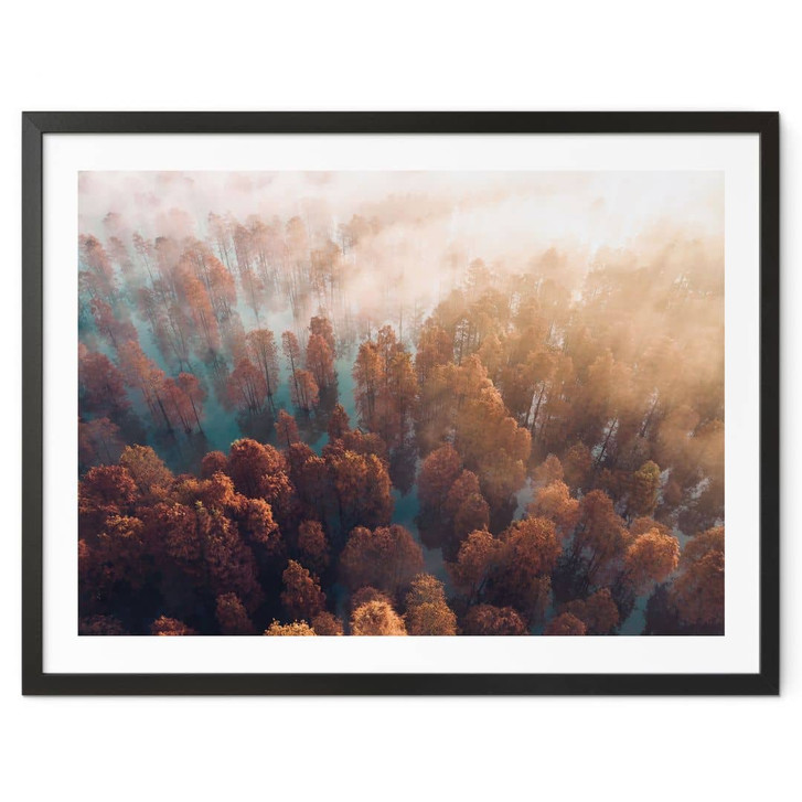 Poster Herbstwald im Nebel - Ioricon - WA406348