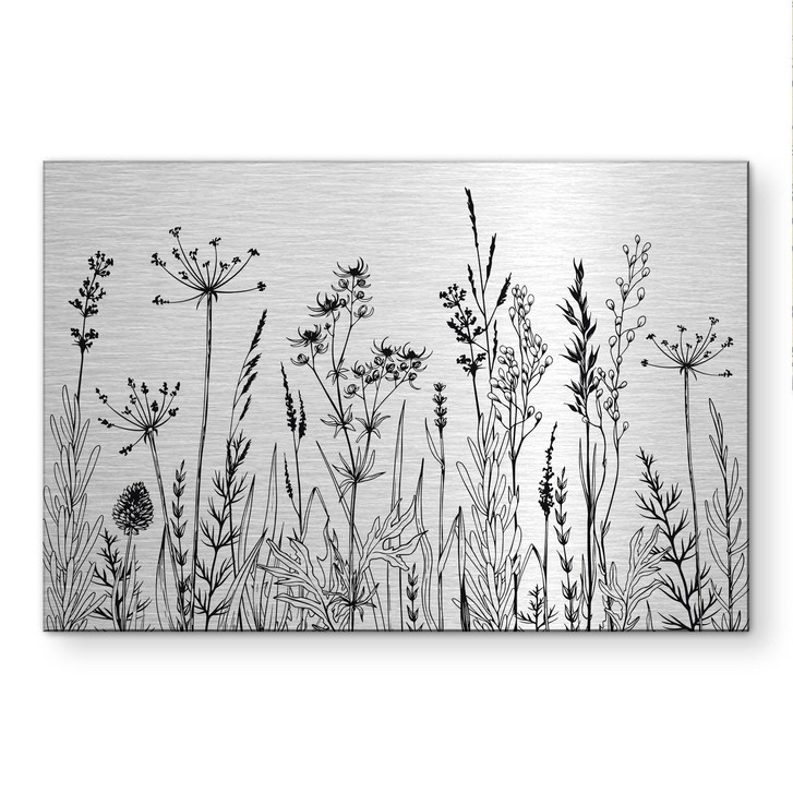 Alu-Dibond gebürstet mit Silbereffekt - Feldblumen Illustration - WA513786