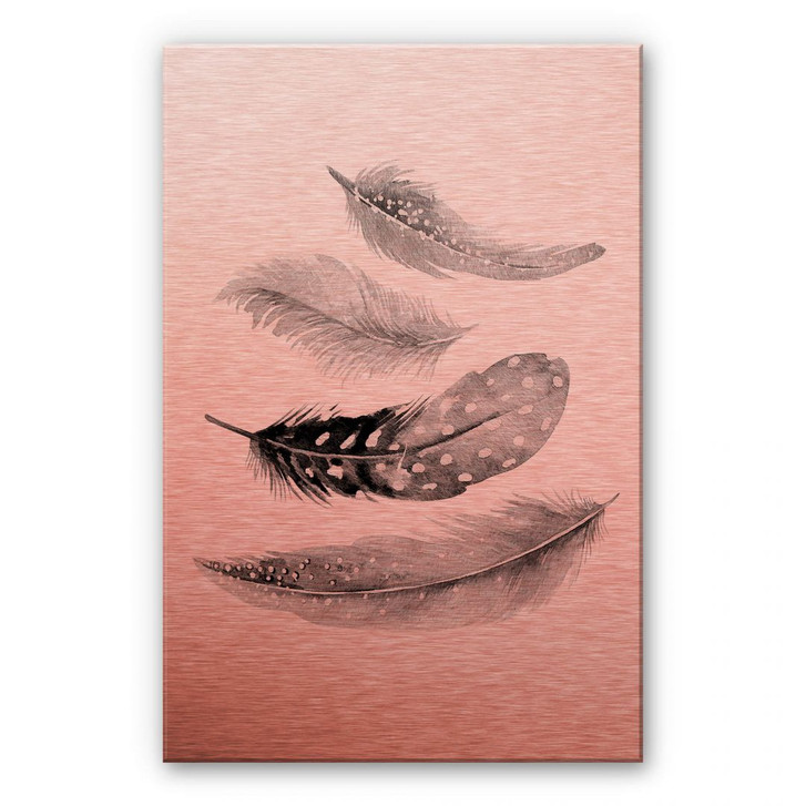 Alu-Dibond-Kupfereffekt - Federn 02 - WA113121