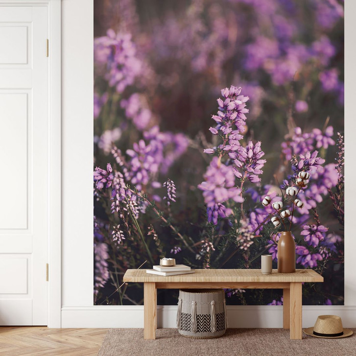 Fototapete Lila Heideblüte im warmen Licht - Annie - WA466677
