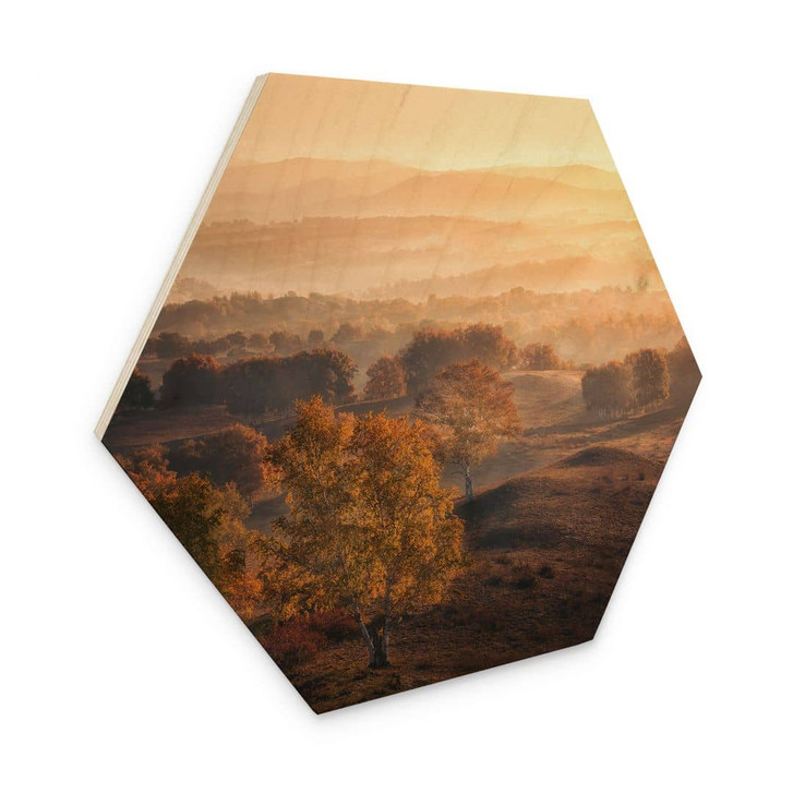 Hexagon Holzbild Birkenbäume im goldenen Morgentau - Cui - WA456144
