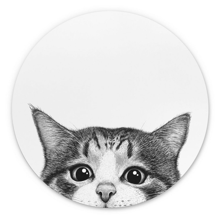 Rundes Wandbild Neugierige Katze - Korenkova - Alu- Dibond - WA434215