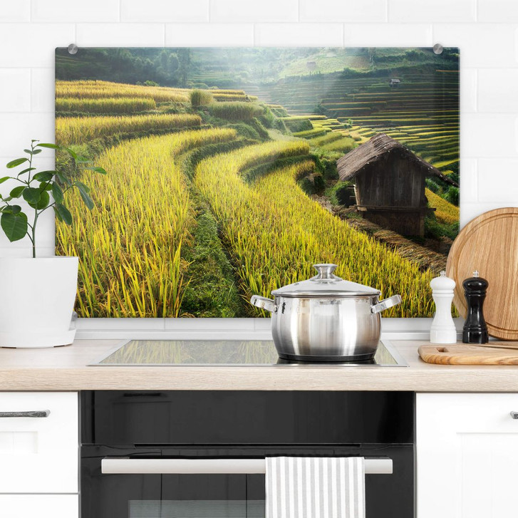 Spritzschutz Intarob - Reisfelder in Vietnam - WA381179