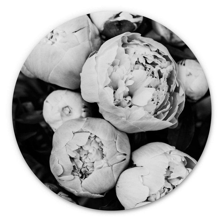 Alu-Dibond Sisi & Seb - Pfingstrosen - Rund - WA352270