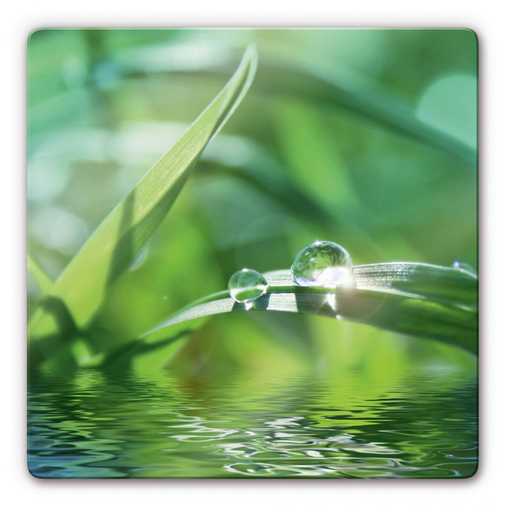 Glasbild Natur 6 - WA125966