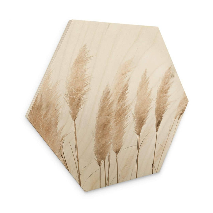 Hexagon - Holz Sisi & Seb - Pampas - WA326884