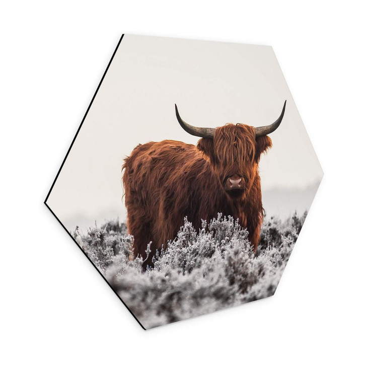 Hexagon Wandbild van den Helm - Highlander - Alu-DIbond - WA354958