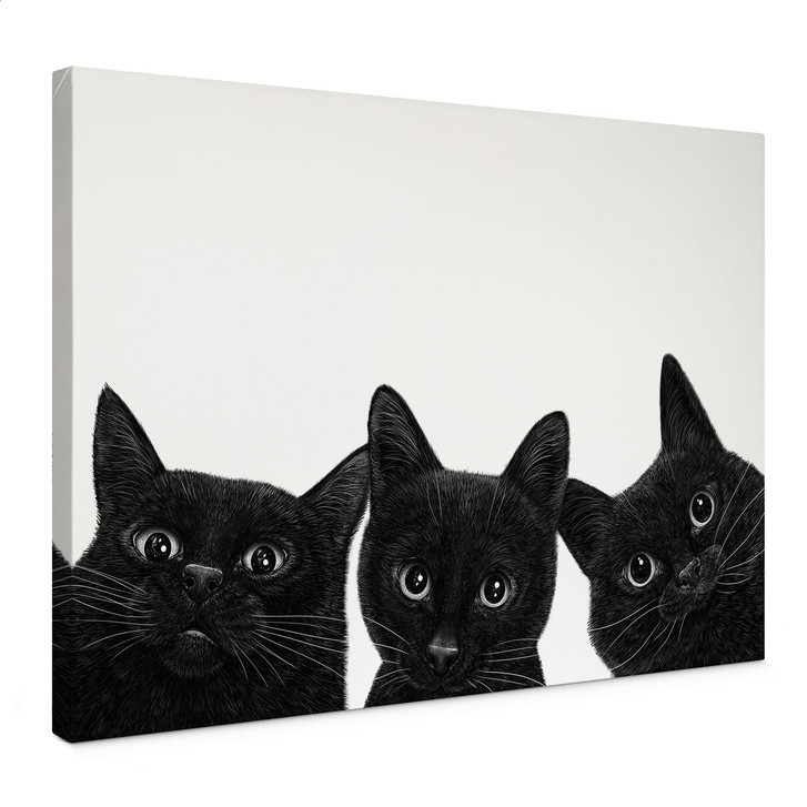 Leinwandbild Schwarzes Katzen Trio - Korenkova - WA514349