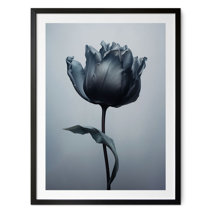 Poster Samtige Tulpe in Schwarz - Paksoylu - WA427458
