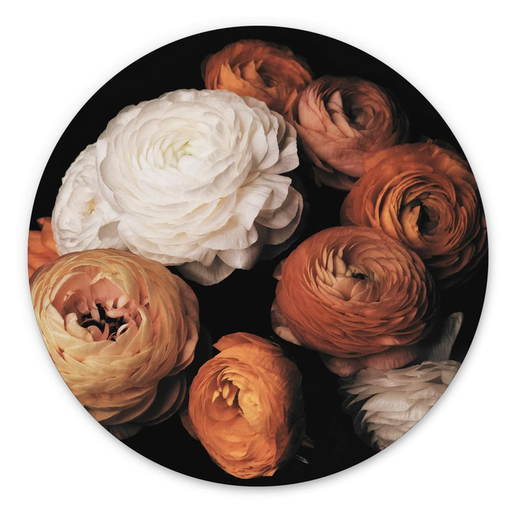 Wandbild FiguraNYC Photography - Ranunkeln Stillleben - Alu-Dibond Rund - WA382878