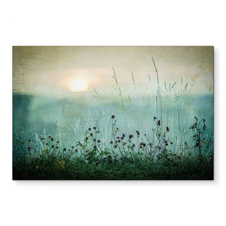 Wandbild Taubedeckter Sonnenaufgang - Kværnstrøm - Alu-Dibond - WA421775