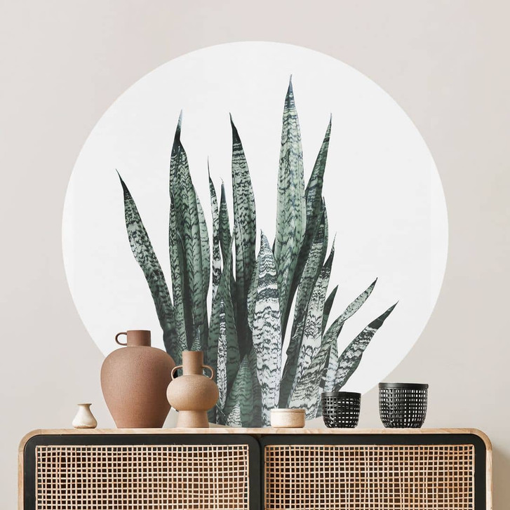 Wandtattoo Bogenhanf Pflanze - Sisi & Seb - Rund - WA430097