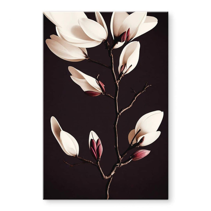 Acrylglasbild Edle Magnolienblüten - Treechild - WA479390