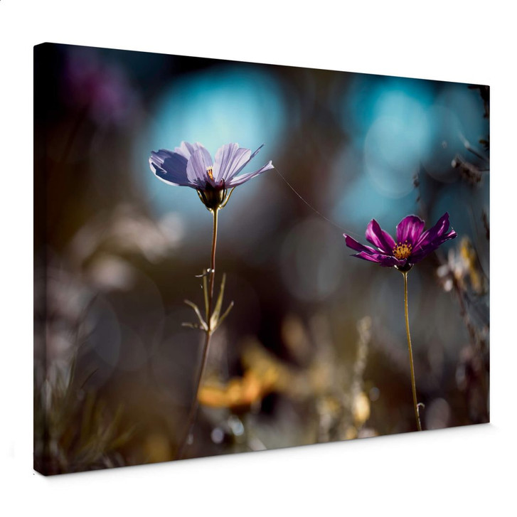 Leinwandbild Bravin - Blütenpaar - WA359677