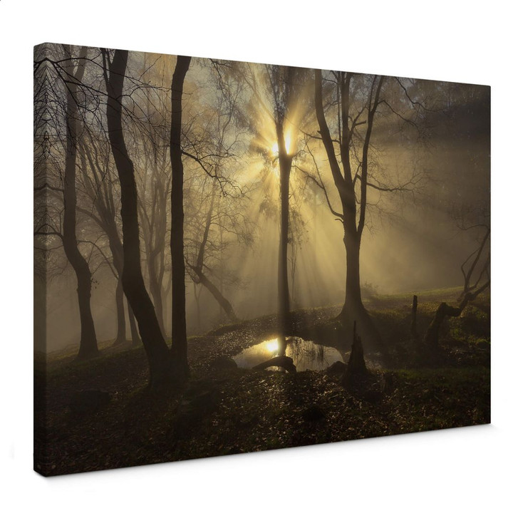 Leinwandbild Cuadrado - Light - WA361296