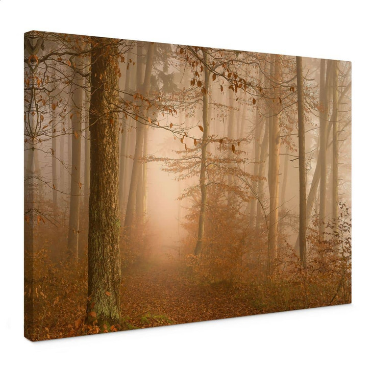 Leinwandbild Dunst und Licht im herbstlichen Wald - Maier - WA449901