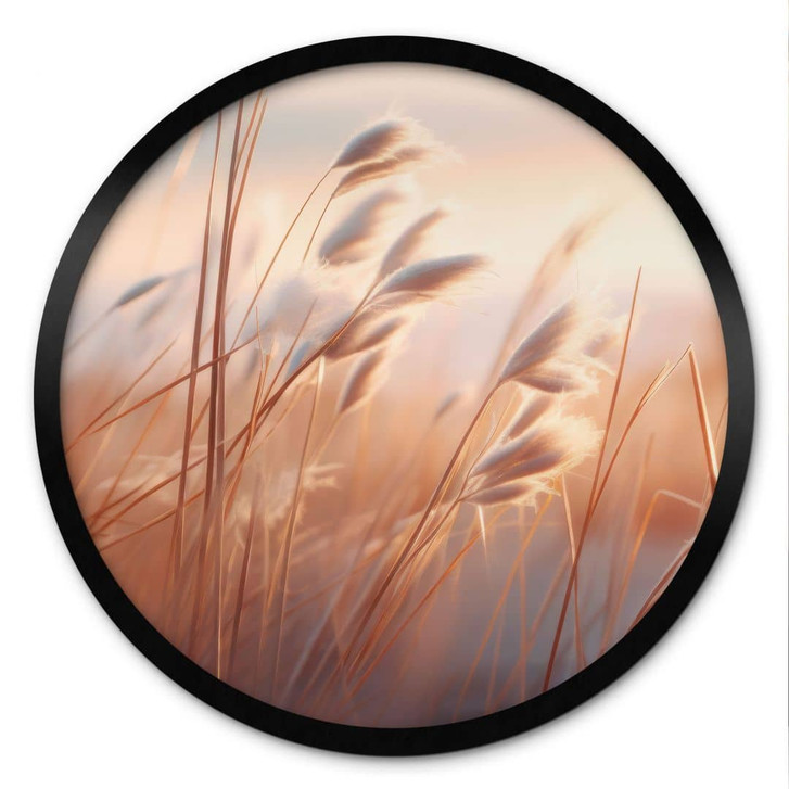 Poster Dünengras in der Abendsonne - Treechild - Rund - WA473587