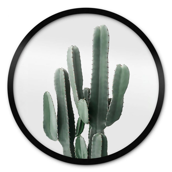 Poster Kaktus Pflanze - Sisi & Seb - Rund - WA428339