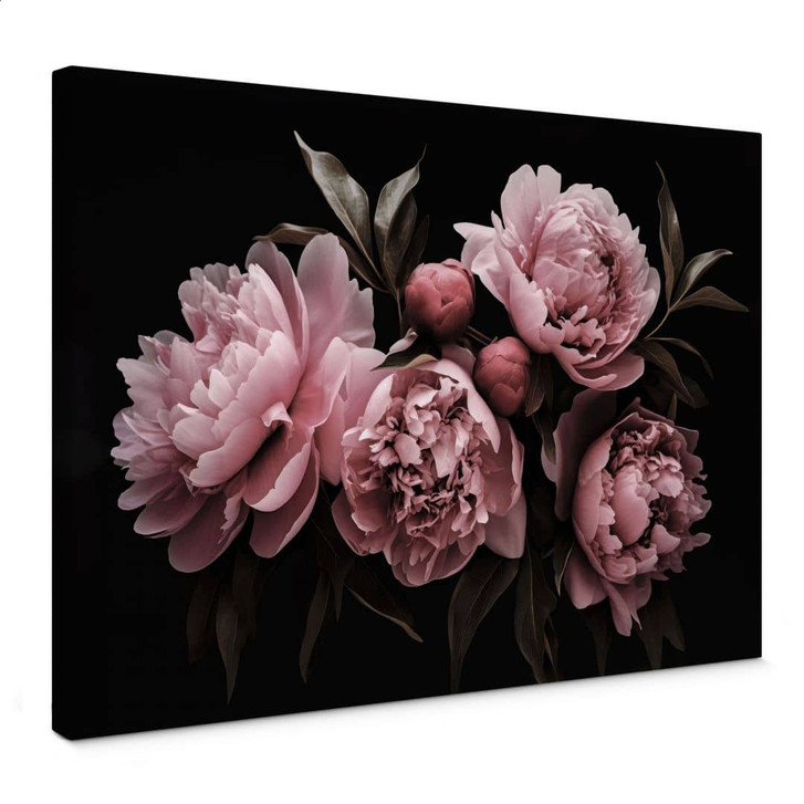 Leinwandbild Pfingstrose rosé - Haase - WA403359