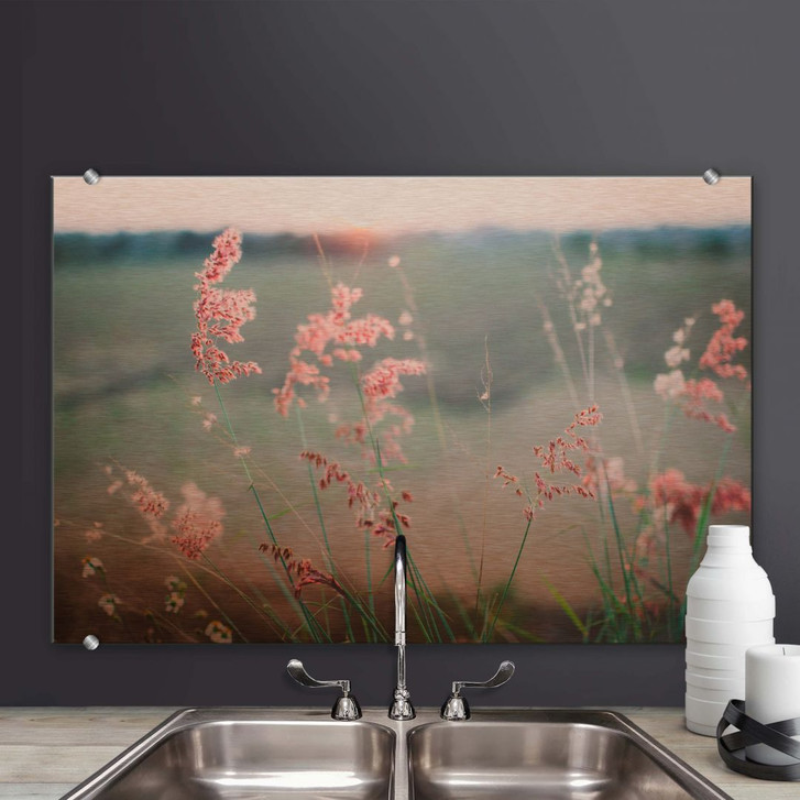 Spritzschutz Gräser 02 - WA250060