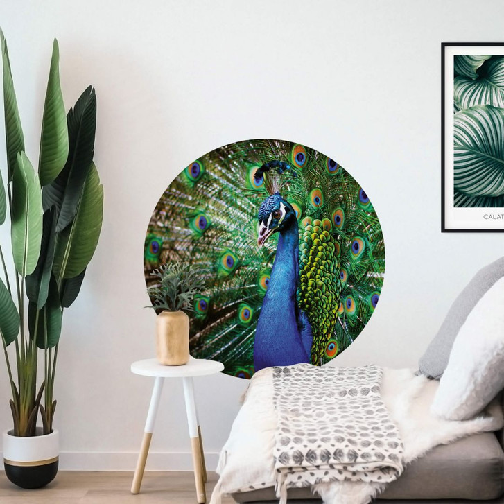 Wandtattoo Beautiful Peacock - Rund - WA312344