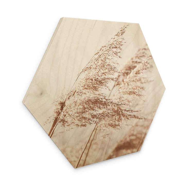 Hexagon - Holz Gräser im Wind - WA320947