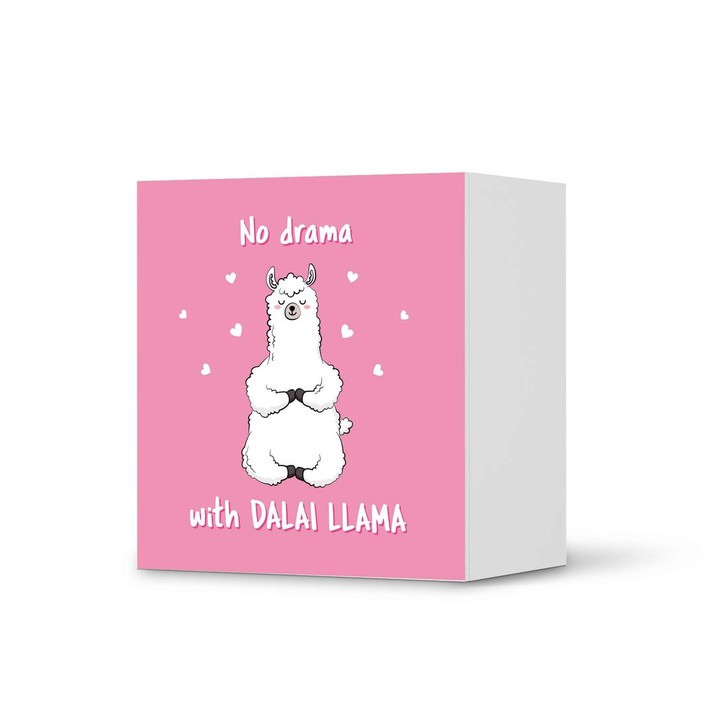 Klebefolie IKEA Besta Regal 1 Türe - Dalai Llama - CR109160