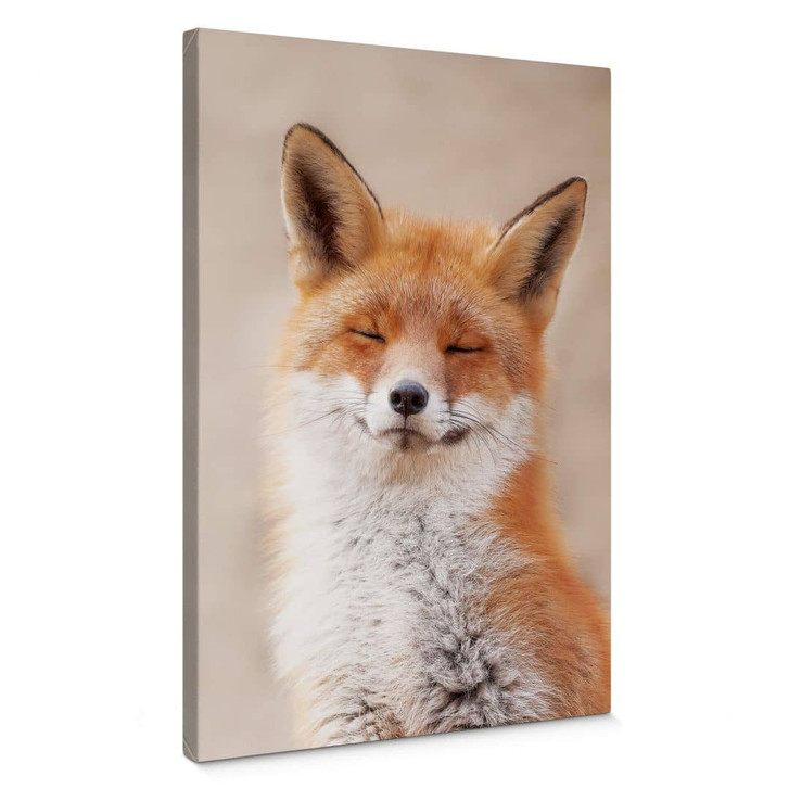 Leinwandbild van Duijn - Zufriedener Fuchs - WA327684