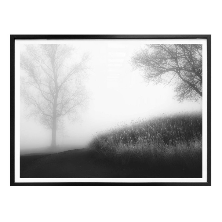 Poster Huybrighs - Nebel am Morgen - WA280989