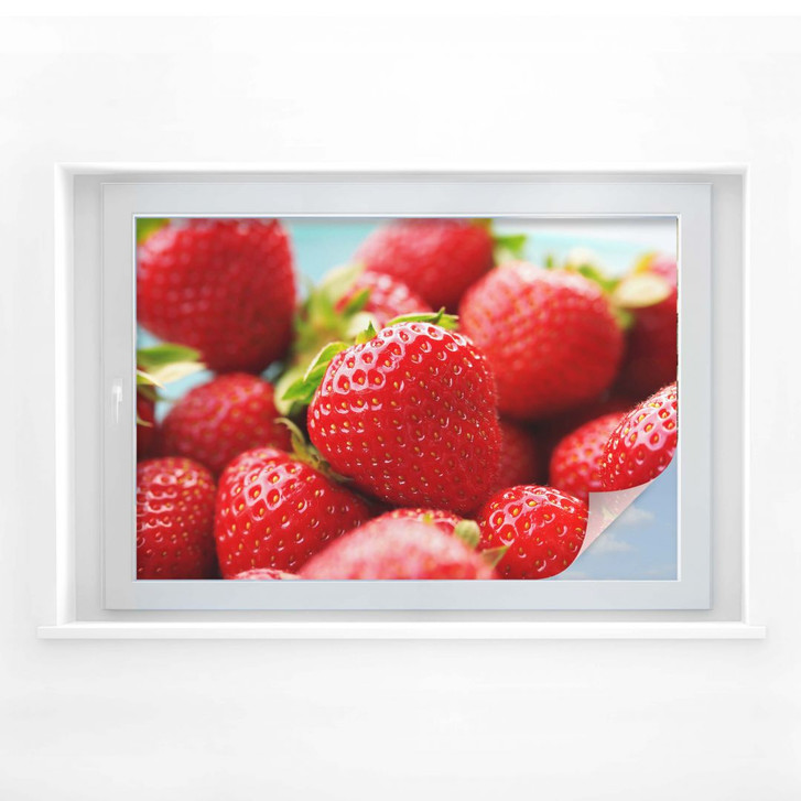 Sichtschutzfolie Erdbeeren aus dem Garten - WA174793