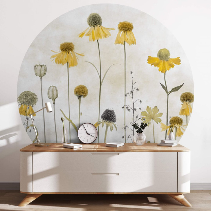 Blumen Fototapete Sonnenbraut Rund - Disher - Selbstklebend/Vlies - WA399163